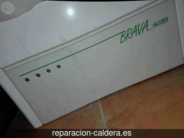 Reparación Calderas Saunier Duval en Pamplona - Iruña