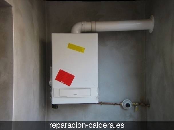 Reparación Calderas Saunier Duval en Villajoyosa - Vila Joiosa