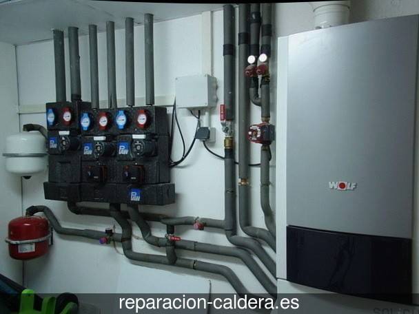 Reparación Calderas Saunier Duval en Villanueva del Rosario