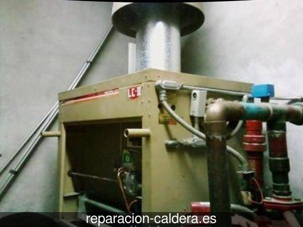 Reparación Calderas Saunier Duval en Villalbarba