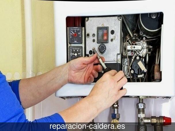 Reparación Calderas Saunier Duval Villarquemado
