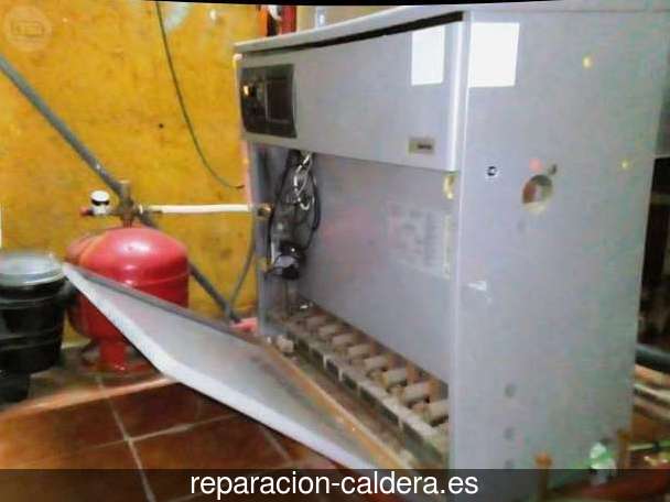 Reparación Calderas Saunier Duval Pozoamargo