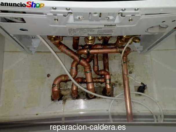 Reparar calderas de gas en Olocau del Rey
