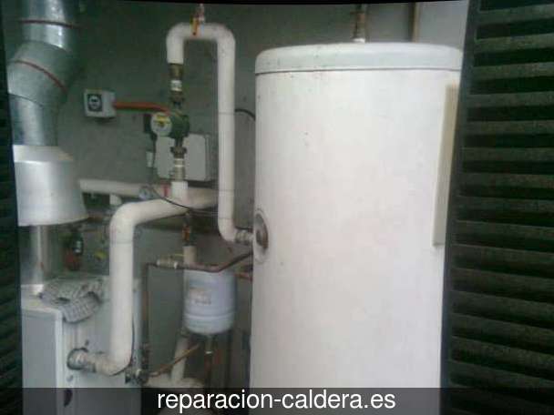 Reparación calderas de gas Herbés