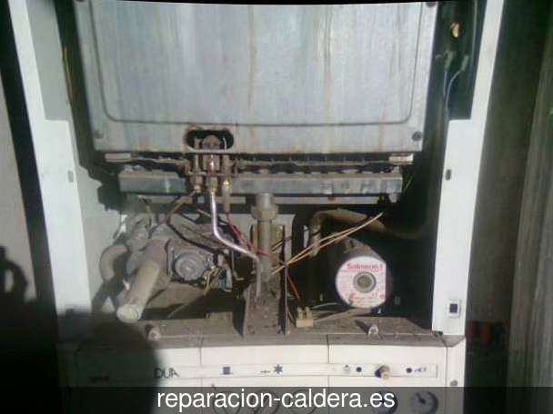 Reparación calderas de gas Pilar de la Horadada