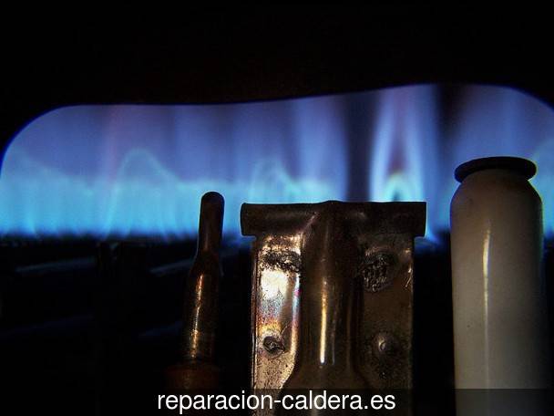 Reparación calderas de gas Pomar de Valdivia