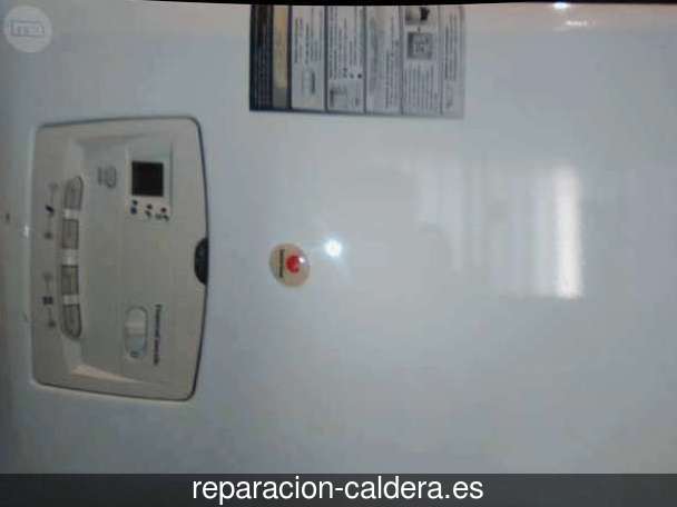 Reparación calderas de gas Morales de Valverde