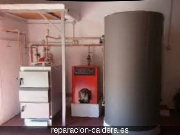 Reparación calderas de gas en Villanueva del Río Segura