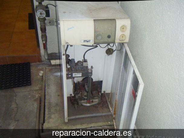 Reparación calderas de gas Ereño