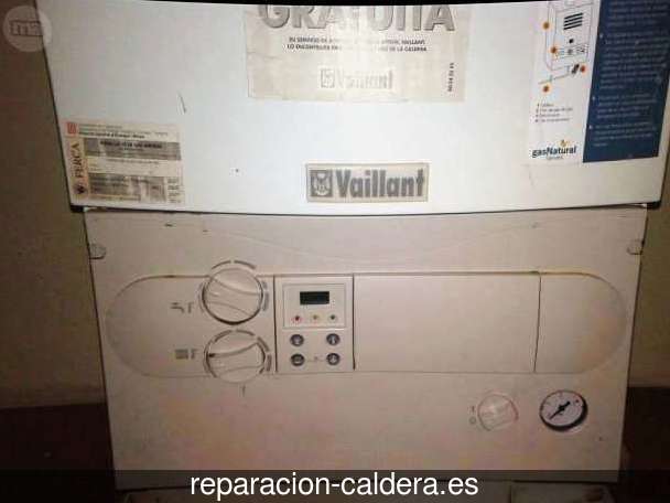 Reparación calderas junkers Andilla