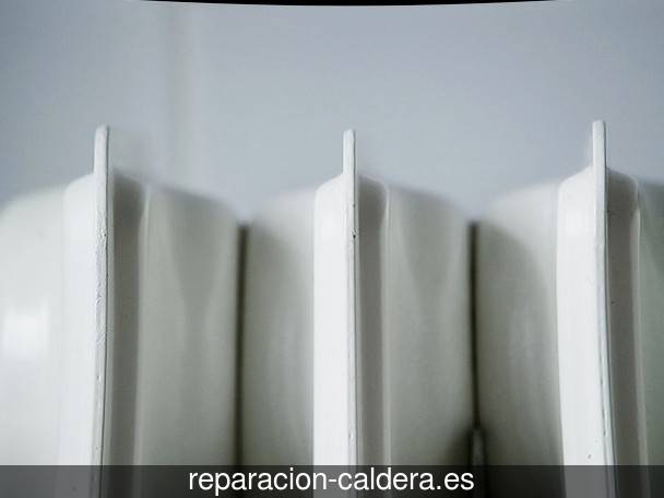 Reparar calderas junkers Lucena del Cid