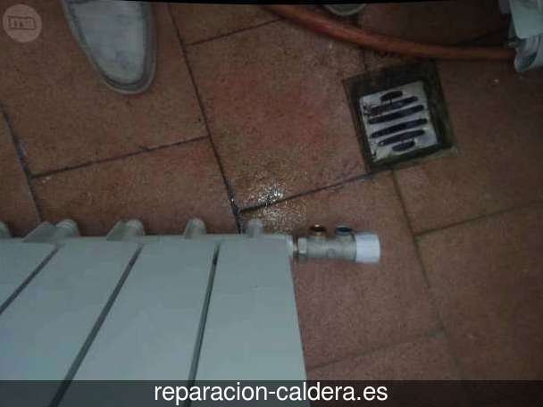 Reparación Calderas Saunier Duval en Malaguilla