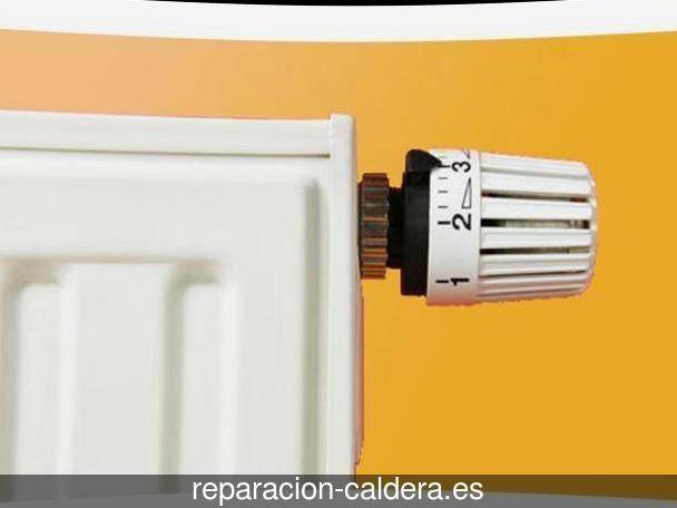 Reparación calderas junkers Gallegos del Pan